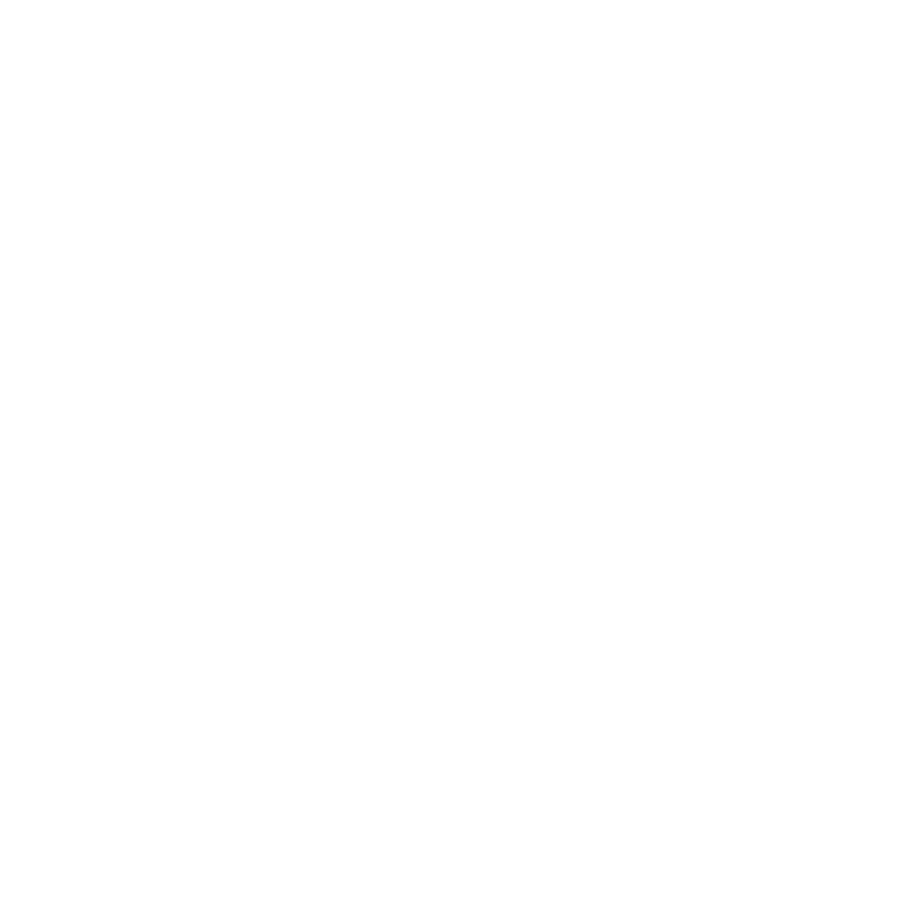 Ollin Cuauchinanco A.C., Escuela de Iniciación Artística Asociada